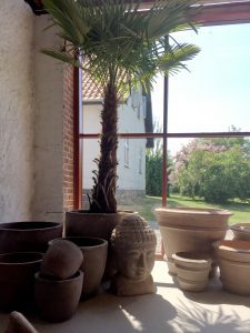 Terracottakrukker i Grama Designs showroom